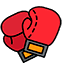 Boxeo